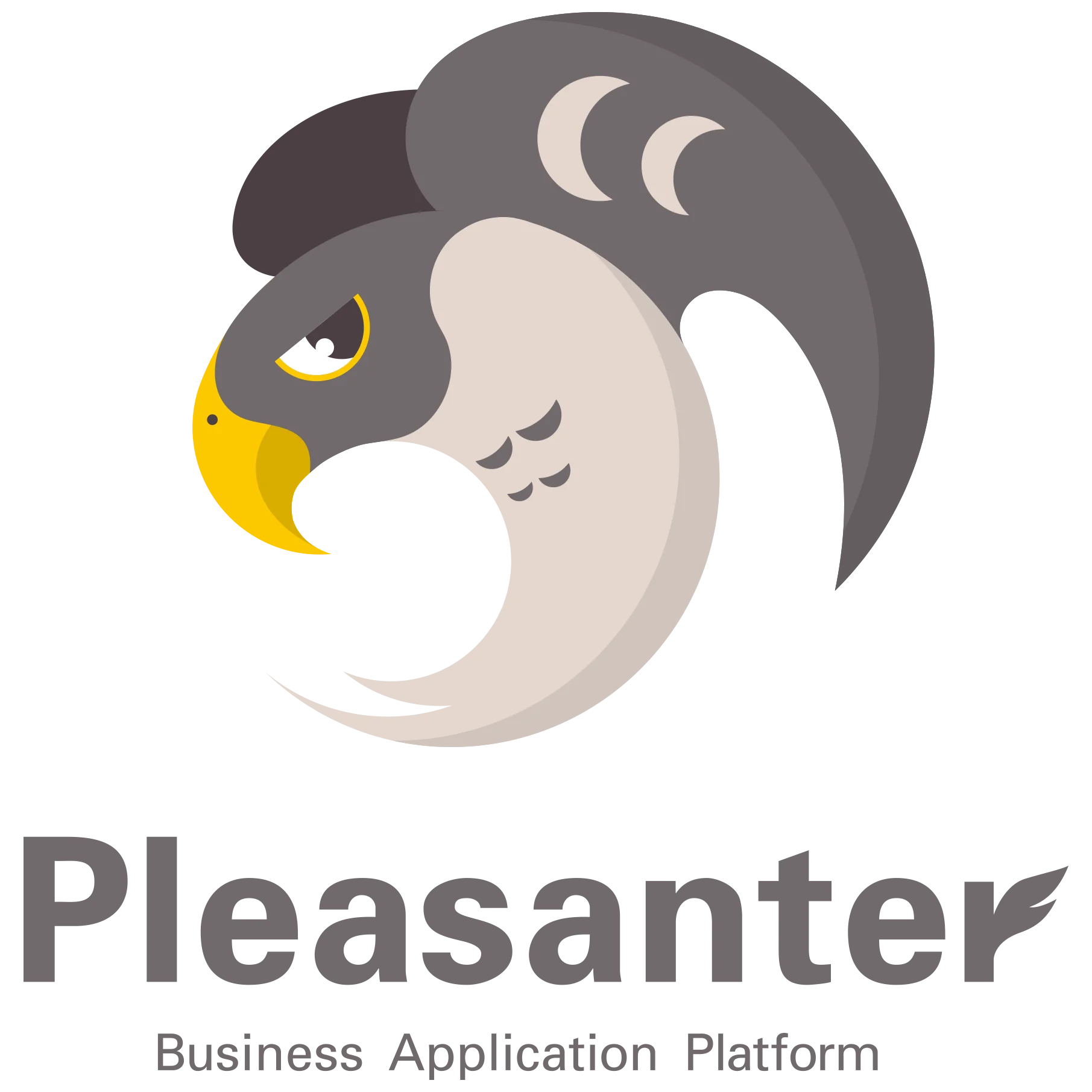 Pleasanter Users Group